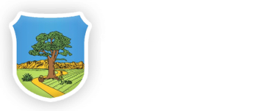 logoCamaraBarauna